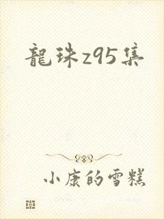 龙珠z95集