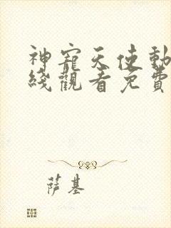 神宠天使动漫在线观看免费高清封面