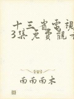 十三省电视剧43集免费观看