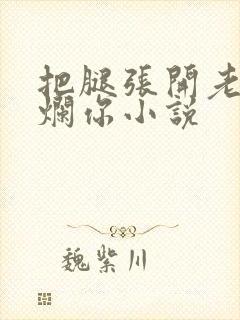 把腿张开老子臊烂你小说