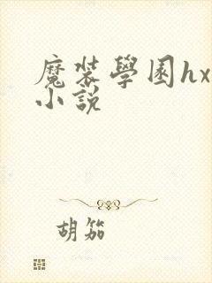 魔装学园hxh小说