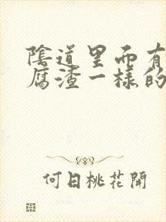 阴道里面有像豆腐渣一样的东西怎么回事