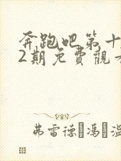 奔跑吧第十季12期免费观看