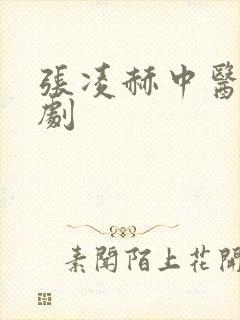 张凌赫中医什么剧封面