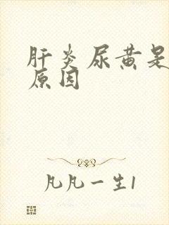 肝炎尿黄是什么原因