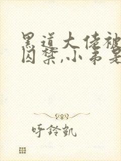 黑道大佬被小弟囚禁,小弟是攻小说