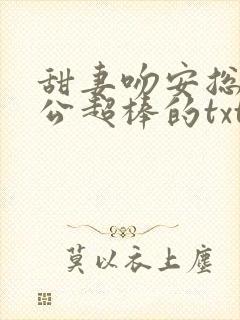 甜妻吻安总裁老公超棒的txt封面