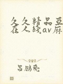 久久精品亚洲成在人线av麻豆