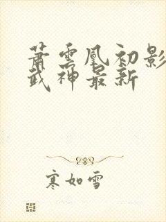 萧云凰初影荒古武神最新封面