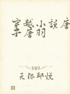 穿越小说唐朝太子唐羽