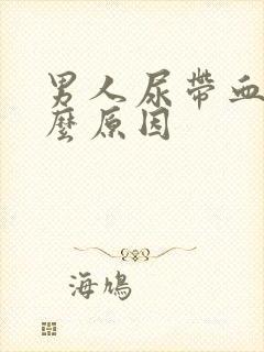 男人尿带血是什么原因