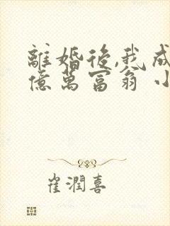 离婚后,我成了亿万富翁 小说