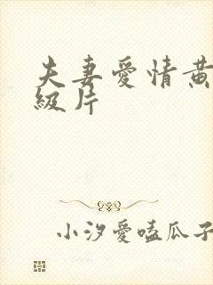 夫妻爱情黄色一级片