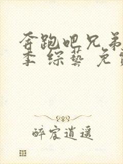 奔跑吧兄弟第三季 综艺 免费观看