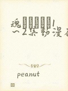 魂インサート1～2集动漫在线观看到封面