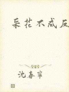 采花不成反被采封面