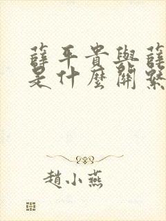 薛平贵与薛丁山是什么关系