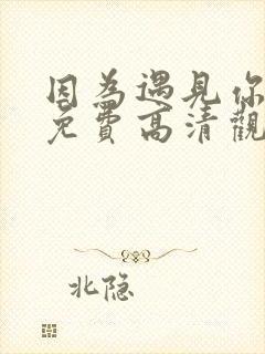 因为遇见你全集免费高清观看