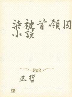 柒被首领囚禁的小说