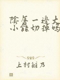 阴唇一边大一边小能切掉吗