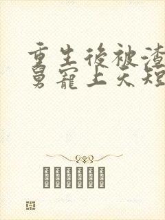 重生后被渣男舅舅宠上天短剧全集