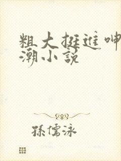 粗大挺进呻吟高潮小说