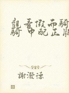 观看假面骑士创骑 中配正版