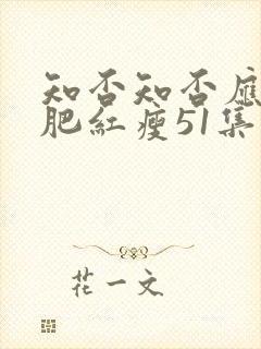 知否知否应是绿肥红瘦51集