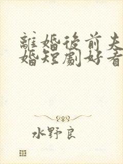 离婚后前夫求复婚短剧好看的