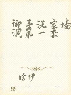 御手洗家墙壁破洞第一季