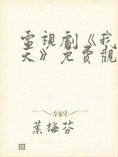 电视剧《我的夏天》免费观看