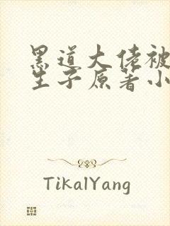 黑道大佬被囚禁生子原著小说叫什么