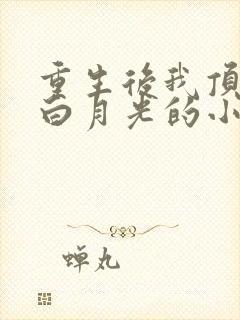 重生后我顶替了白月光的小说封面