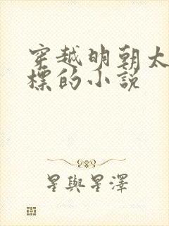 穿越明朝太子朱标的小说