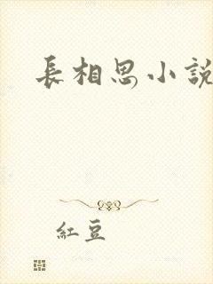 长相思小说原著