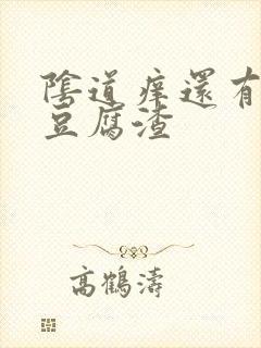 阴道痒还有白色豆腐渣