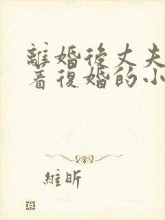 离婚后丈夫哭求着复婚的小说