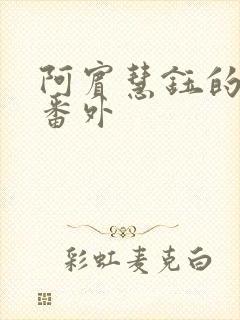 阿宾慧钰的小说番外