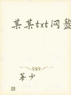 某某txt网盘