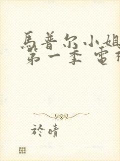 马普尔小姐探案 第一季 电视剧封面