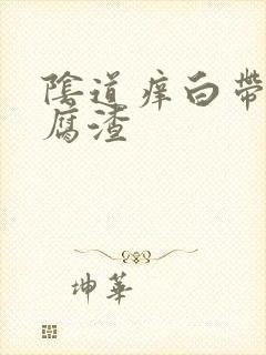 阴道痒白带和豆腐渣