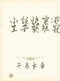 小说快穿:我靠生子系统宠冠后宫免费封面