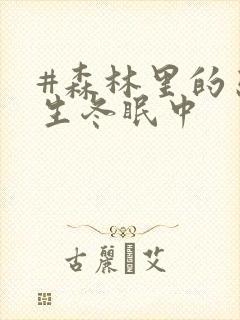 #森林里的熊先生冬眠中封面