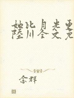 她比月光更耀眼陆川全文免费