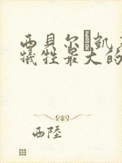 西贝尔·凯基莉牺牲最大的电影是哪一封面