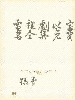 电视剧以家人之名全集免费观看