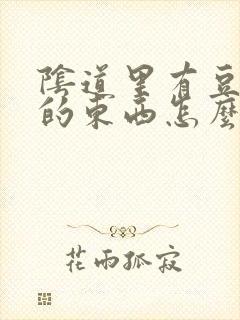 阴道里有豆腐渣的东西怎么回事