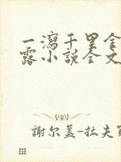 一泻千里金银花露小说全文免费阅读