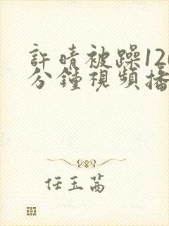 许晴被躁120分钟视频播放