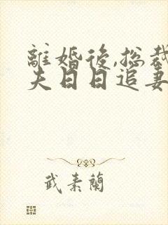 离婚后,总裁前夫日日追妻封面